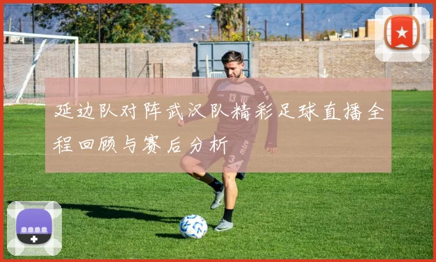 延边队对阵武汉队精彩足球直播全程回顾与赛后分析
