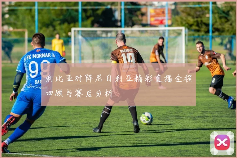 利比亚对阵尼日利亚精彩直播全程回顾与赛后分析