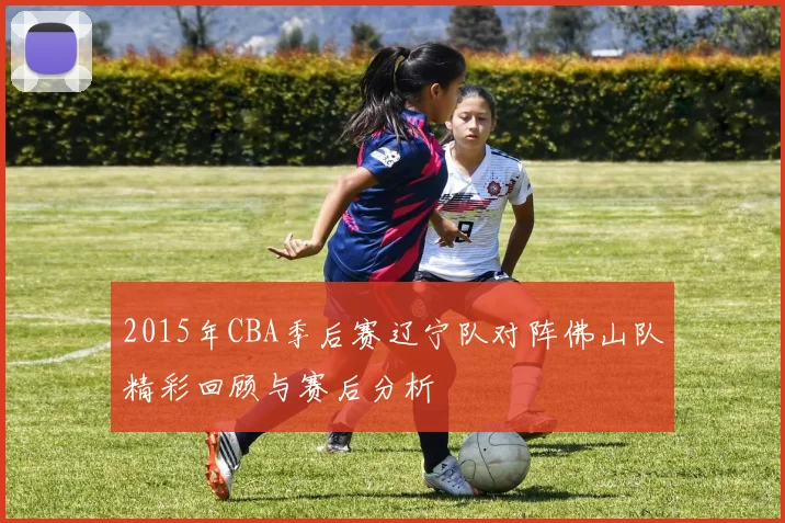 2015年CBA季后赛辽宁队对阵佛山队精彩回顾与赛后分析